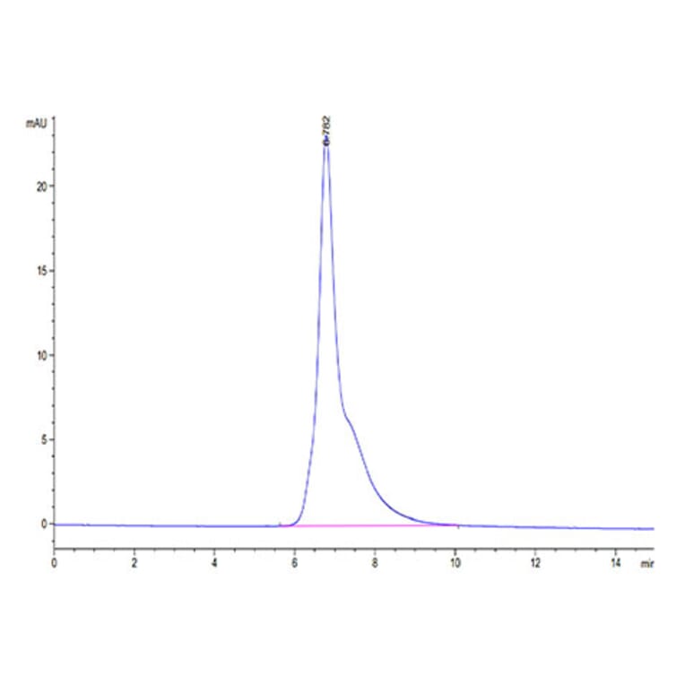 SEC-HPLC - Recombinant Cynomolgus macaque CD3 epsilon Protein (C-terminal His Tag) (A331505) - Antibodies.com