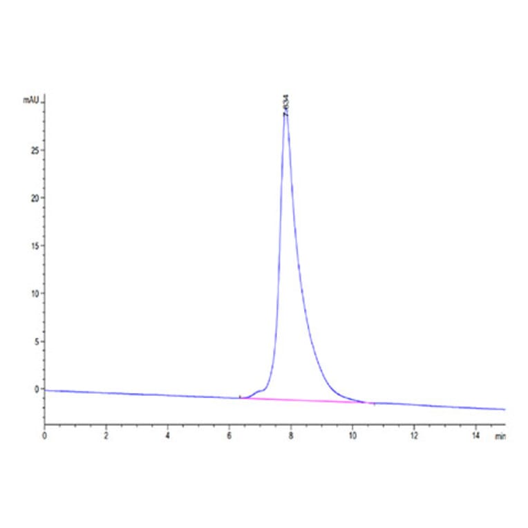 SEC-HPLC - Recombinant Cynomolgus macaque CD3 epsilon Protein (C-terminal Human Fc Tag) (A331506) - Antibodies.com