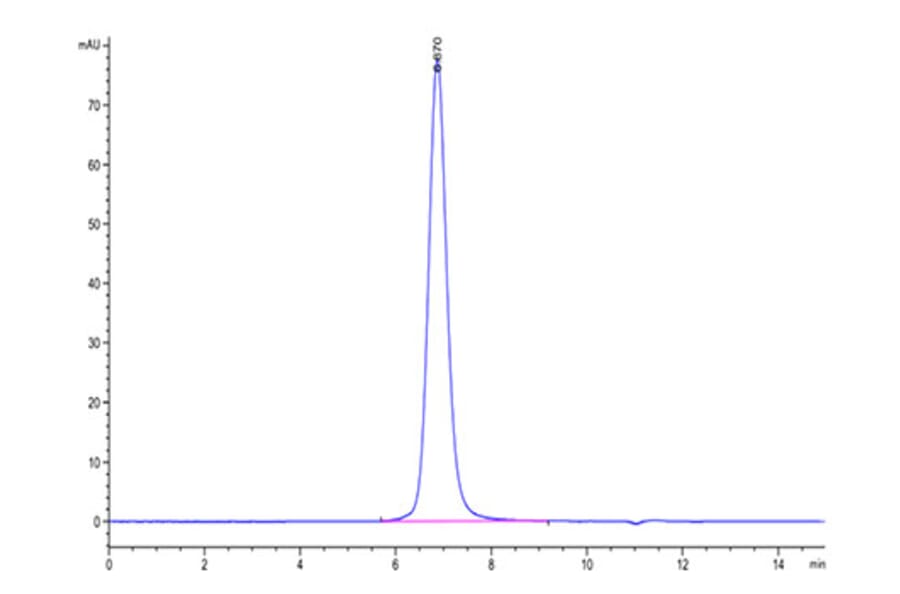 SEC-HPLC - Recombinant Cynomolgus macaque CD3E + CD3D Protein (Biotin) (C-terminal Human Fc Tag) (A331509) - Antibodies.com