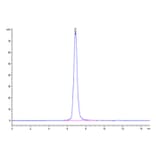 SEC-HPLC - Recombinant Cynomolgus macaque CD3E + CD3D Protein (Biotin) (C-terminal Human Fc Tag) (A331509) - Antibodies.com