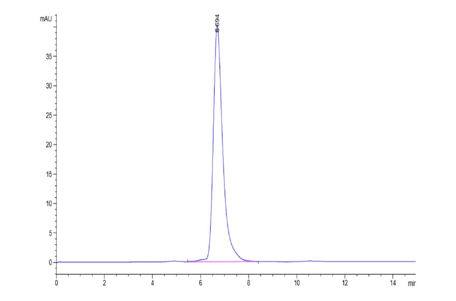 SEC-HPLC - Recombinant Human CD3E + CD3G Protein (Biotin) (C-terminal Human Fc and Avi Tag) (A331510) - Antibodies.com