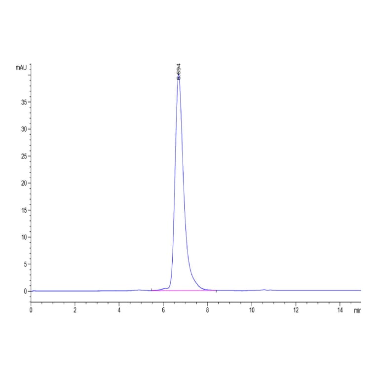 SEC-HPLC - Recombinant Human CD3E + CD3G Protein (Biotin) (C-terminal Human Fc and Avi Tag) (A331510) - Antibodies.com