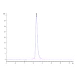 SEC-HPLC - Recombinant Human CD3E + CD3G Protein (Biotin) (C-terminal Human Fc and Avi Tag) (A331510) - Antibodies.com