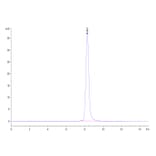 SEC-HPLC - Recombinant Human CD3E + CD3G Protein (C-terminal Human Fc Tag) (A331511) - Antibodies.com