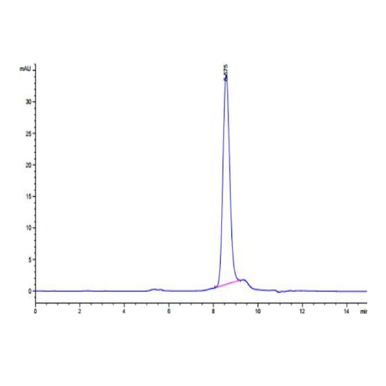 SEC-HPLC - Recombinant Human CD3E + CD3G Protein (C-terminal His Tag) (A331512) - Antibodies.com