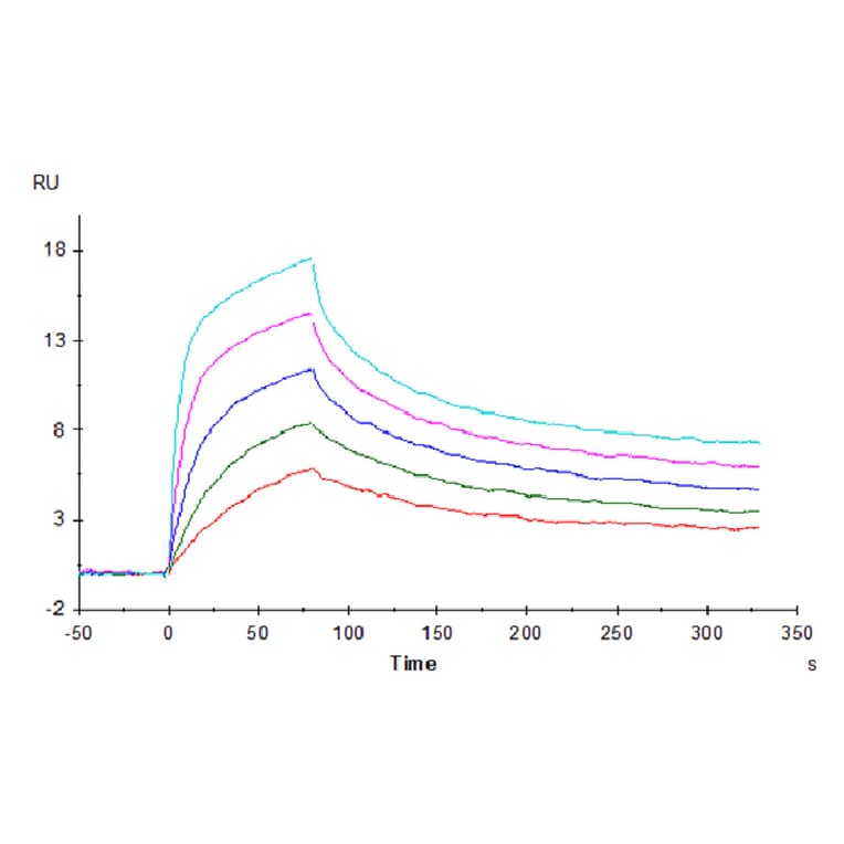 SPR Assay - Recombinant Human CD3E + CD3G Protein (C-terminal His Tag) (A331512) - Antibodies.com