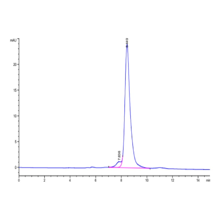 SEC-HPLC - Recombinant Human CD3E + CD3G Protein (Biotin) (C-terminal His Tag) (A331514) - Antibodies.com