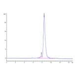 SEC-HPLC - Recombinant Human CD3E + CD3G Protein (Biotin) (C-terminal His Tag) (A331514) - Antibodies.com