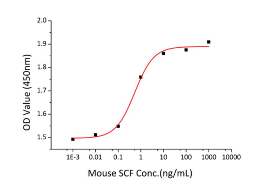Proliferation Assay - Recombinant Mouse SCF Protein (C-terminal His Tag) (A331521) - Antibodies.com