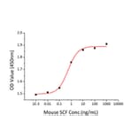 Proliferation Assay - Recombinant Mouse SCF Protein (C-terminal His Tag) (A331521) - Antibodies.com