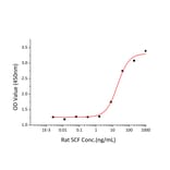 Proliferation Assay - Recombinant Rat SCF Protein (C-terminal His Tag) (A331522) - Antibodies.com