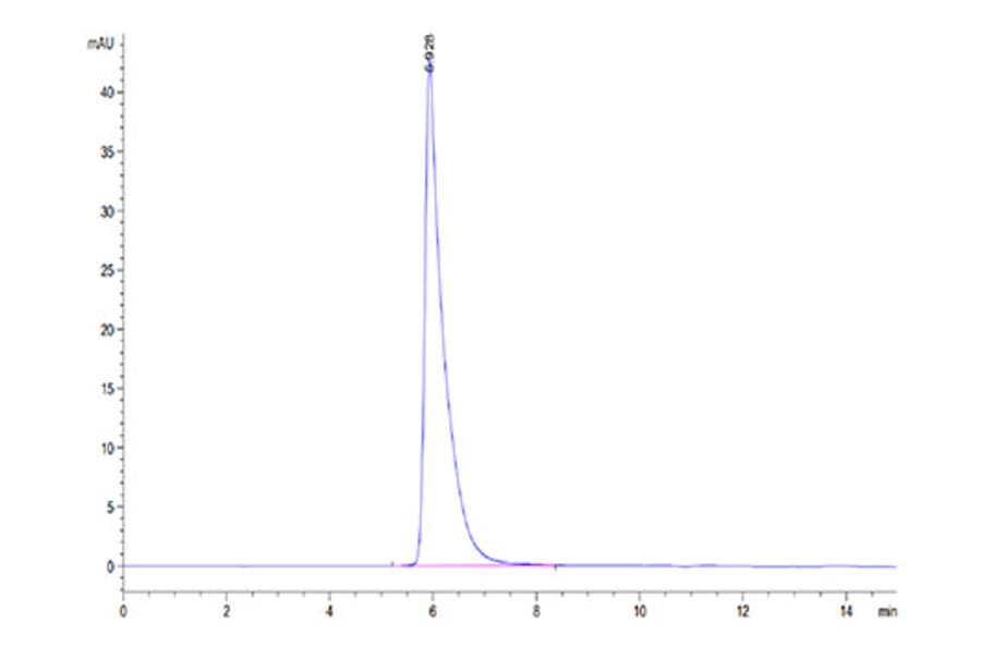 SEC-HPLC - Recombinant Cynomolgus macaque CRTAM Protein (C-terminal Human Fc Tag) (A331531) - Antibodies.com