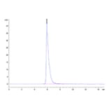 SEC-HPLC - Recombinant Cynomolgus macaque CRTAM Protein (C-terminal Human Fc Tag) (A331531) - Antibodies.com
