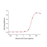 Proliferation Assay - Recombinant Mouse M-CSF Protein (C-terminal His Tag) (A331533) - Antibodies.com