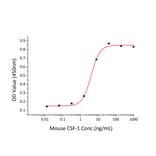 Proliferation Assay - Recombinant Mouse M-CSF Protein (C-terminal His Tag) (A331533) - Antibodies.com
