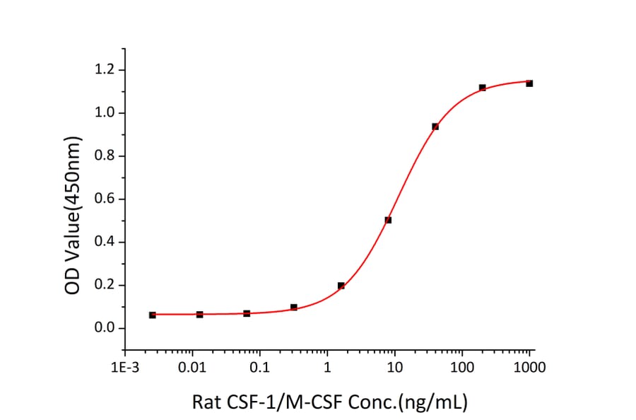 Proliferation Assay - Recombinant Rat M-CSF Protein (C-terminal His Tag) (A331534) - Antibodies.com
