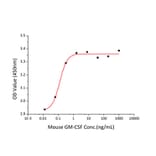 Proliferation Assay - Recombinant Mouse GM-CSF Protein (N-terminal His Tag) (A331536) - Antibodies.com