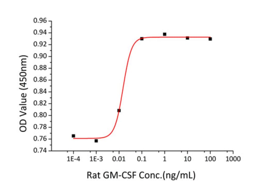 Proliferation Assay - Recombinant Rat GM-CSF Protein (N-terminal His Tag) (A331537) - Antibodies.com