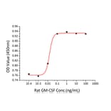 Proliferation Assay - Recombinant Rat GM-CSF Protein (N-terminal His Tag) (A331537) - Antibodies.com