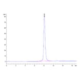 SEC-HPLC - Recombinant Mouse CD116 Protein (C-terminal His Tag) (A331538) - Antibodies.com