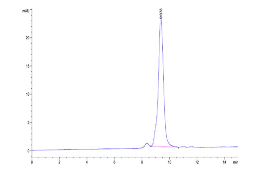 SEC-HPLC - Recombinant Cynomolgus macaque CTLA4 Protein (C-terminal His Tag) (A331541) - Antibodies.com