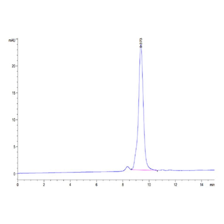 SEC-HPLC - Recombinant Cynomolgus macaque CTLA4 Protein (C-terminal His Tag) (A331541) - Antibodies.com