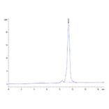 SEC-HPLC - Recombinant Cynomolgus macaque CTLA4 Protein (C-terminal His Tag) (A331541) - Antibodies.com