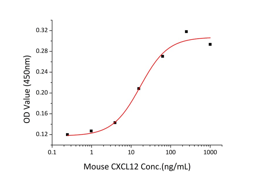 Chemoattraction assay - Recombinant Mouse CXCL12 Protein (A331547) - Antibodies.com