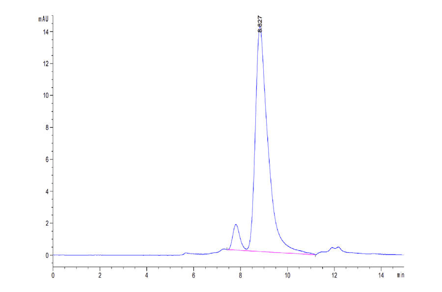 SEC-HPLC - Recombinant Mouse PF4 Protein (C-terminal Human Fc Tag) (A331551) - Antibodies.com