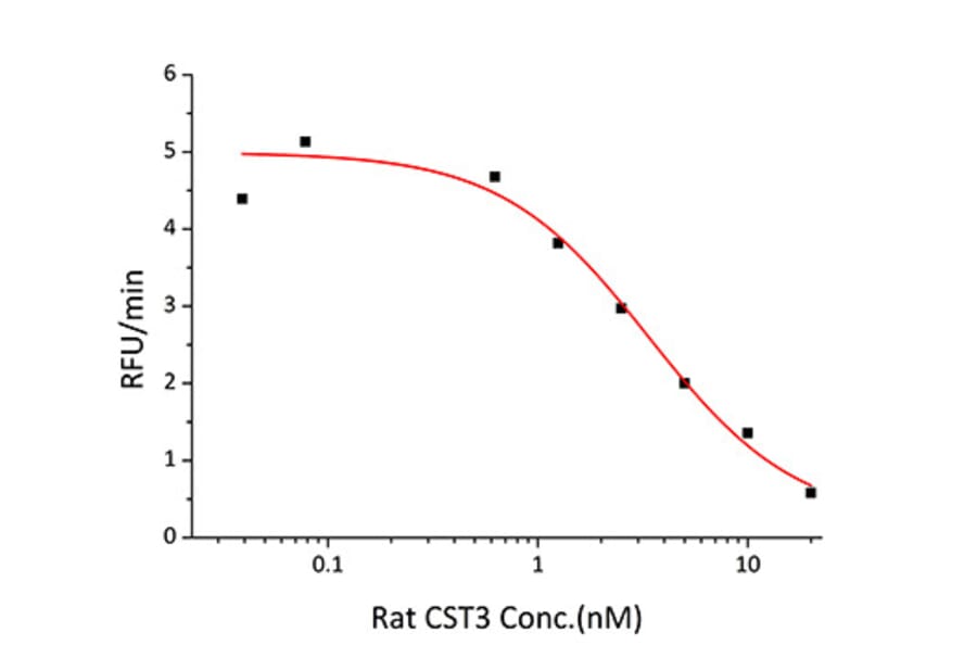 Enzyme inhibition assay - Recombinant Rat Cystatin C Protein (C-terminal His Tag) (A331555) - Antibodies.com