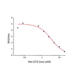 Enzyme inhibition assay - Recombinant Rat Cystatin C Protein (C-terminal His Tag) (A331555) - Antibodies.com