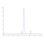 SEC-HPLC - Recombinant Mouse EGFR Protein (C-terminal His Tag) (A331561) - Antibodies.com