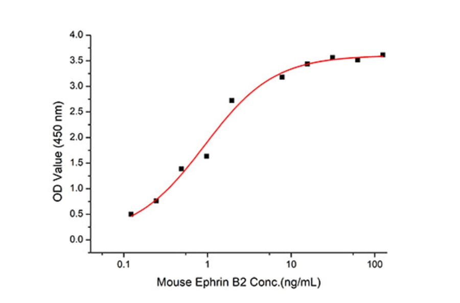 Standard Curve - Recombinant Mouse Eph Receptor B2 Protein (C-terminal His Tag) (A331566) - Antibodies.com
