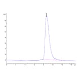 SEC-HPLC - Recombinant Cynomolgus macaque CD32A Protein (C-terminal His Tag) (A331579) - Antibodies.com