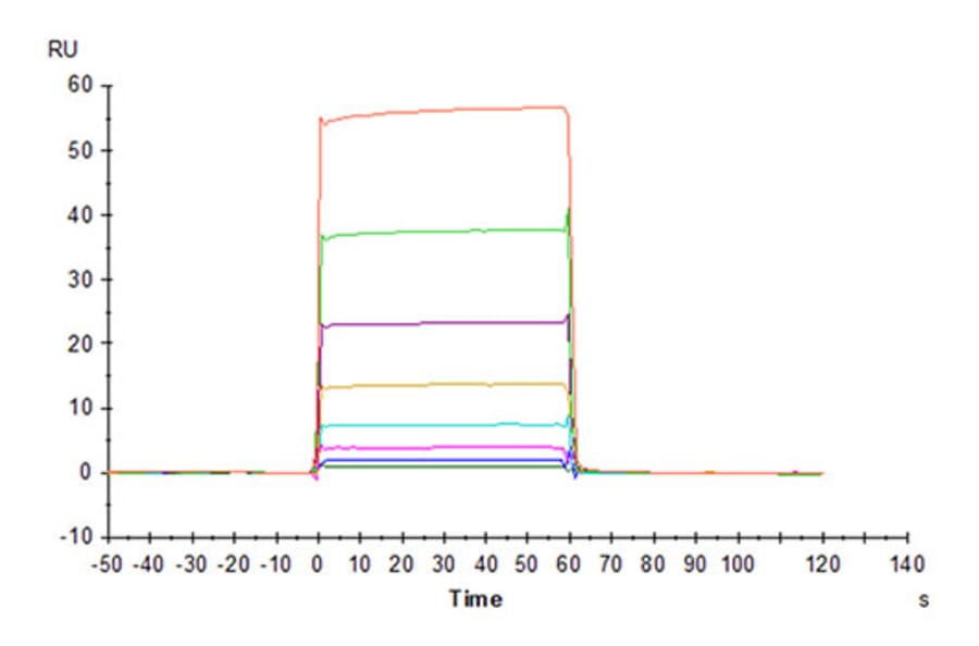 SPR Assay - Recombinant Cynomolgus macaque CD32A Protein (C-terminal His Tag) (A331579) - Antibodies.com