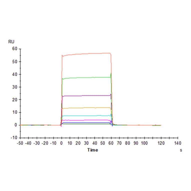 SPR Assay - Recombinant Cynomolgus macaque CD32A Protein (C-terminal His Tag) (A331579) - Antibodies.com