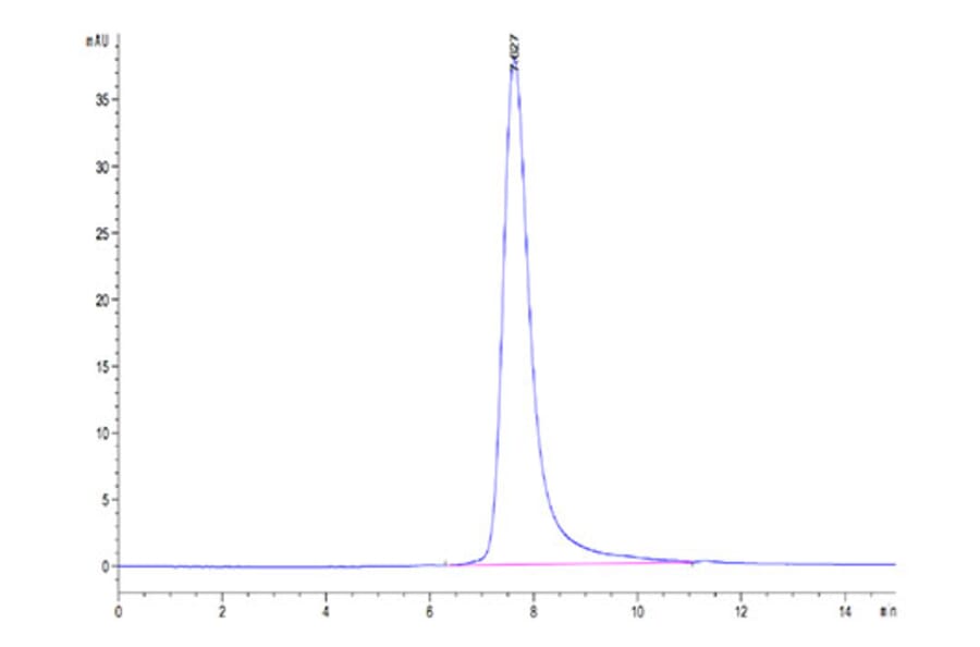 SEC-HPLC - Recombinant Cynomolgus macaque CD16 Protein (C-terminal His Tag) (A331581) - Antibodies.com