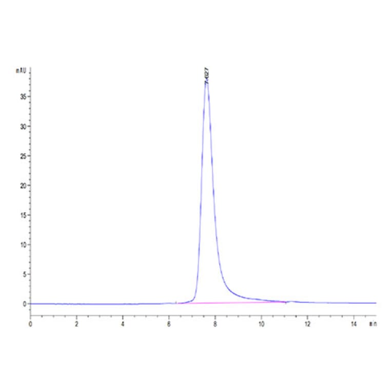 SEC-HPLC - Recombinant Cynomolgus macaque CD16 Protein (C-terminal His Tag) (A331581) - Antibodies.com