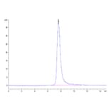 SEC-HPLC - Recombinant Cynomolgus macaque CD16 Protein (C-terminal His Tag) (A331581) - Antibodies.com