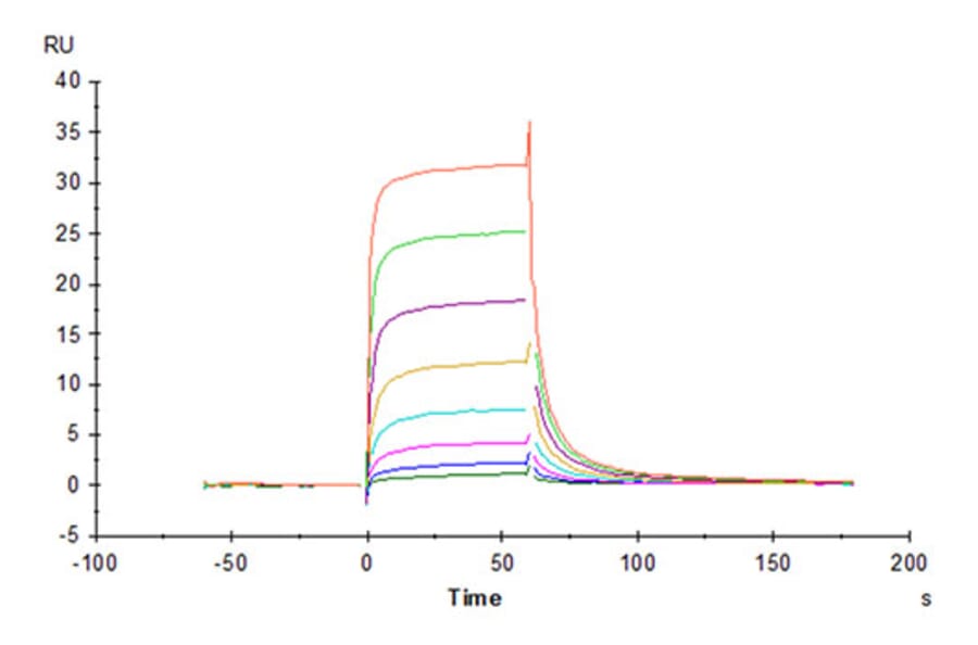 SPR Assay - Recombinant Cynomolgus macaque CD16 Protein (C-terminal His Tag) (A331581) - Antibodies.com