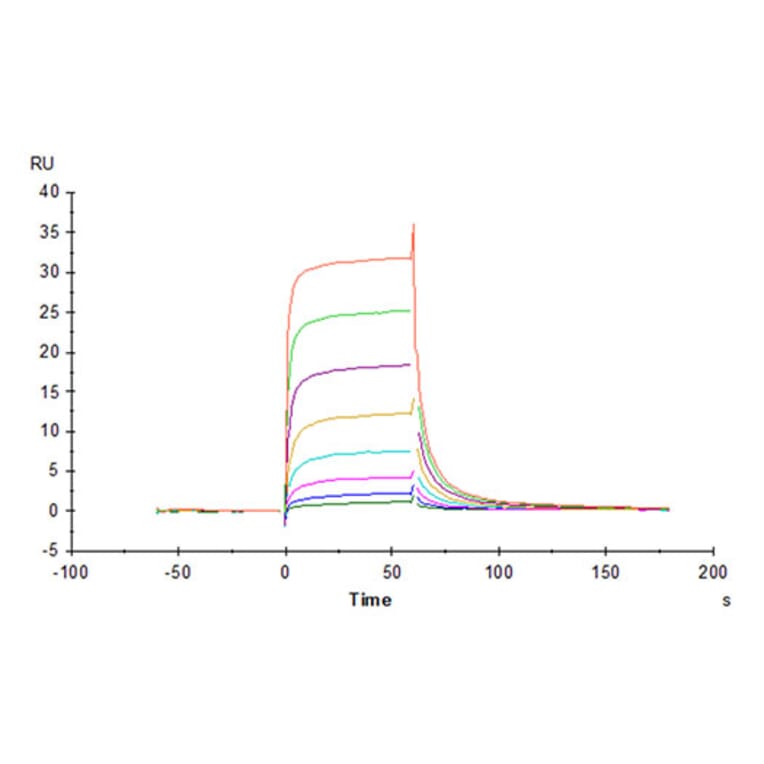 SPR Assay - Recombinant Cynomolgus macaque CD16 Protein (C-terminal His Tag) (A331581) - Antibodies.com