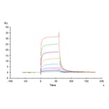 SPR Assay - Recombinant Cynomolgus macaque CD16 Protein (C-terminal His Tag) (A331581) - Antibodies.com