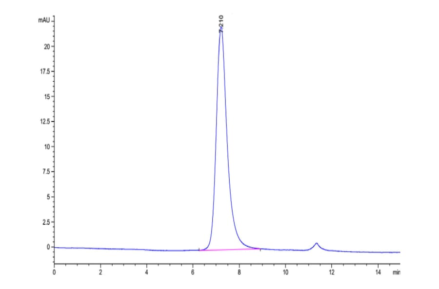 SEC-HPLC - Recombinant Human CD16a Protein (Biotin) (C-terminal His and Avi Tag) (A331583) - Antibodies.com