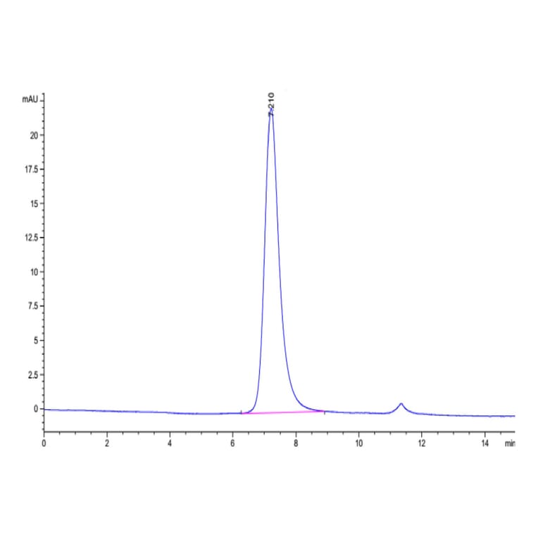 SEC-HPLC - Recombinant Human CD16a Protein (Biotin) (C-terminal His and Avi Tag) (A331583) - Antibodies.com