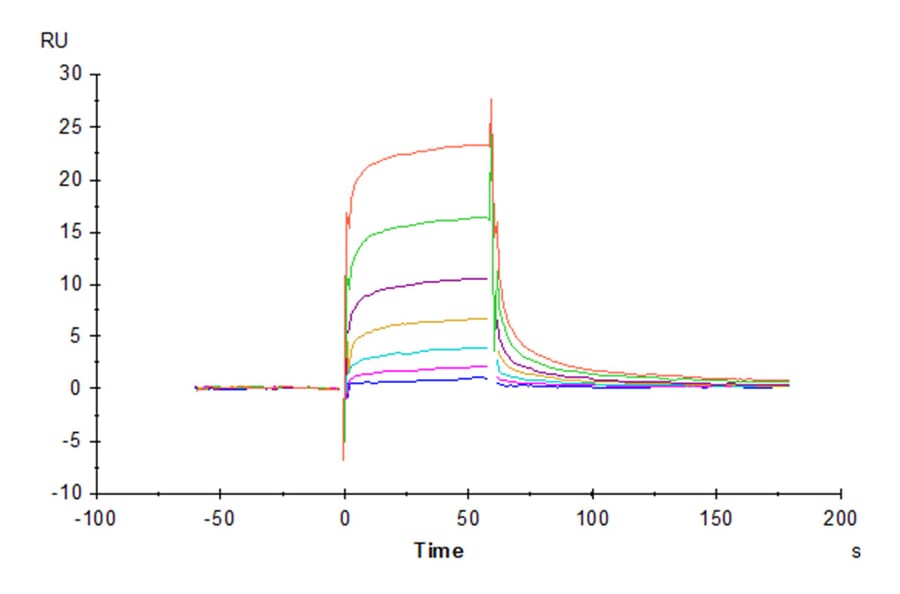 SPR Assay - Recombinant Human CD16a Protein (Biotin) (C-terminal His and Avi Tag) (A331583) - Antibodies.com