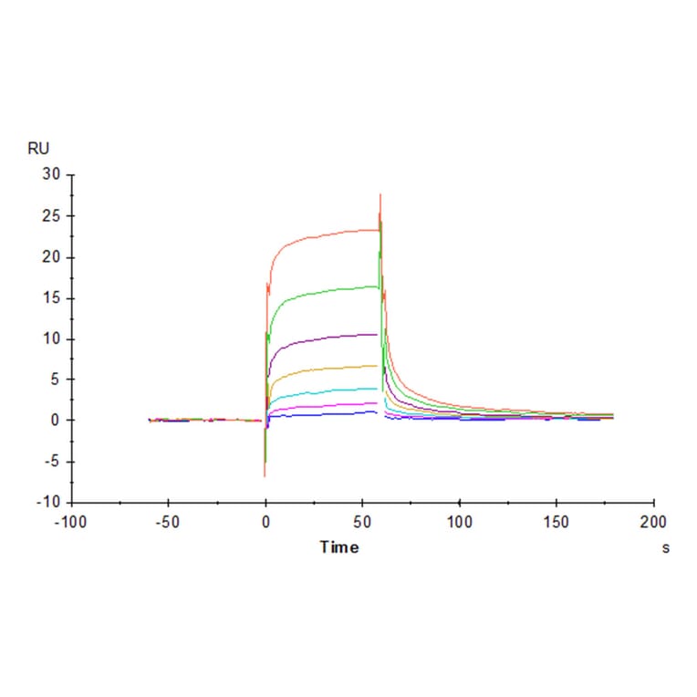 SPR Assay - Recombinant Human CD16a Protein (Biotin) (C-terminal His and Avi Tag) (A331583) - Antibodies.com