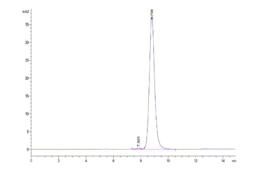 SEC-HPLC - Recombinant Human CD16a Protein (C-terminal Mouse Fc Tag) (A331584) - Antibodies.com