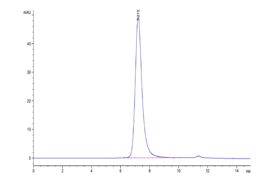 SEC-HPLC - Recombinant Human CD16a Protein (C-terminal His and Avi Tag) (A331585) - Antibodies.com