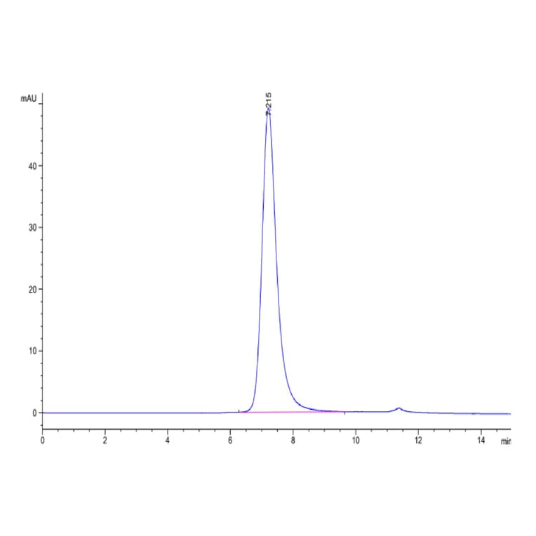 SEC-HPLC - Recombinant Human CD16a Protein (C-terminal His and Avi Tag) (A331585) - Antibodies.com