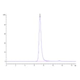 SEC-HPLC - Recombinant Human CD16a Protein (C-terminal His and Avi Tag) (A331585) - Antibodies.com